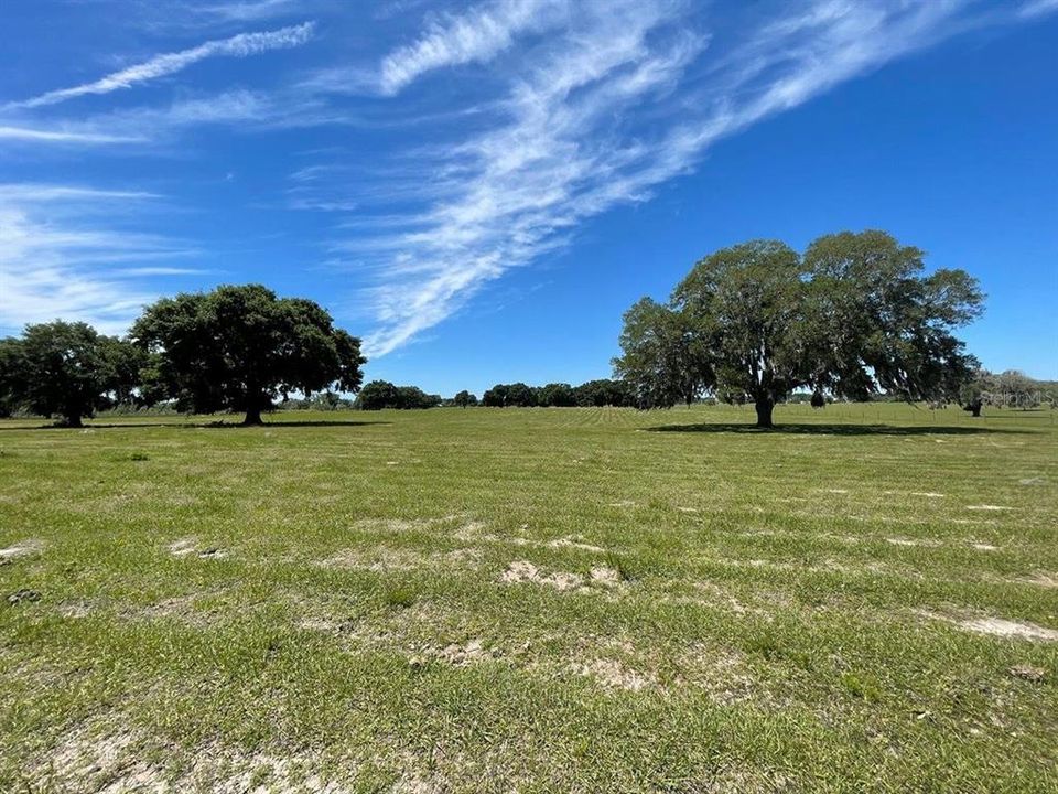 Active With Contract: $775,000 (31.20 acres)