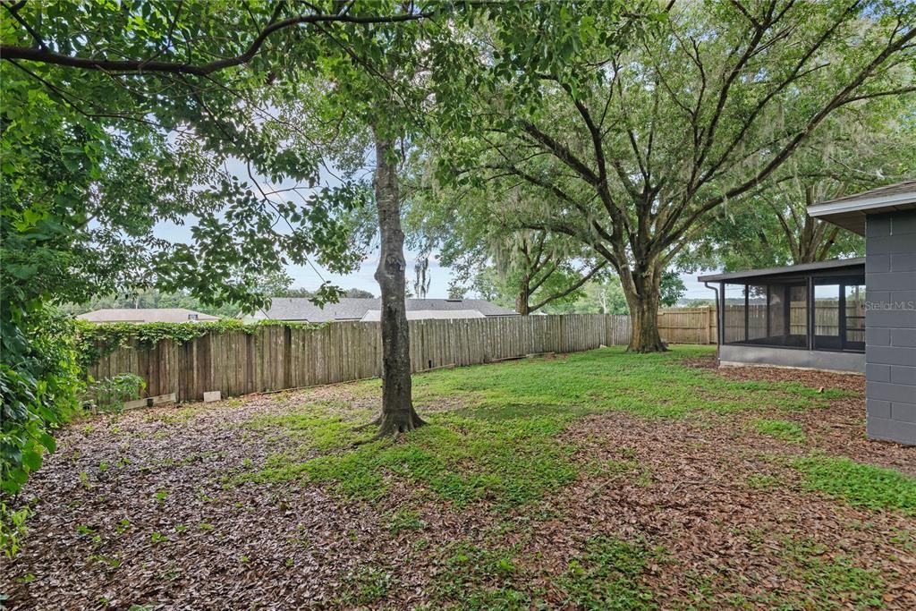 Fenced Backyard