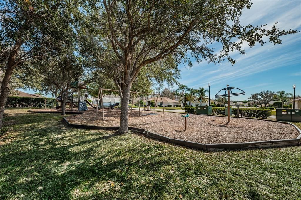 Trinity Oaks Community playground