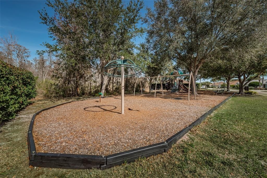 Trinity Oaks Community playground