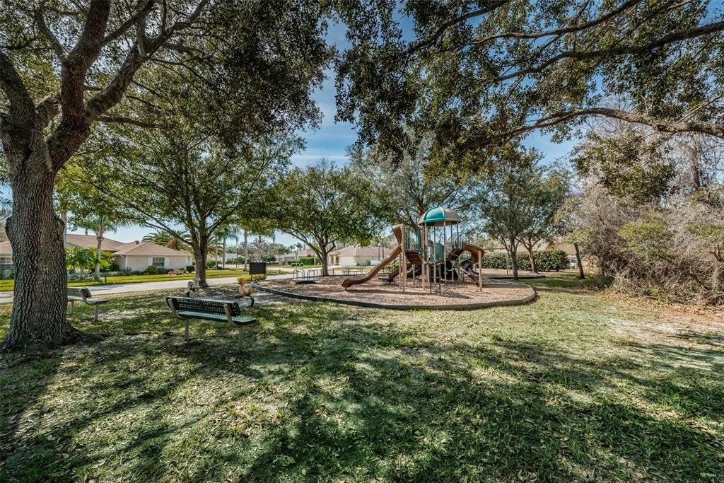 Trinity Oaks Community playground