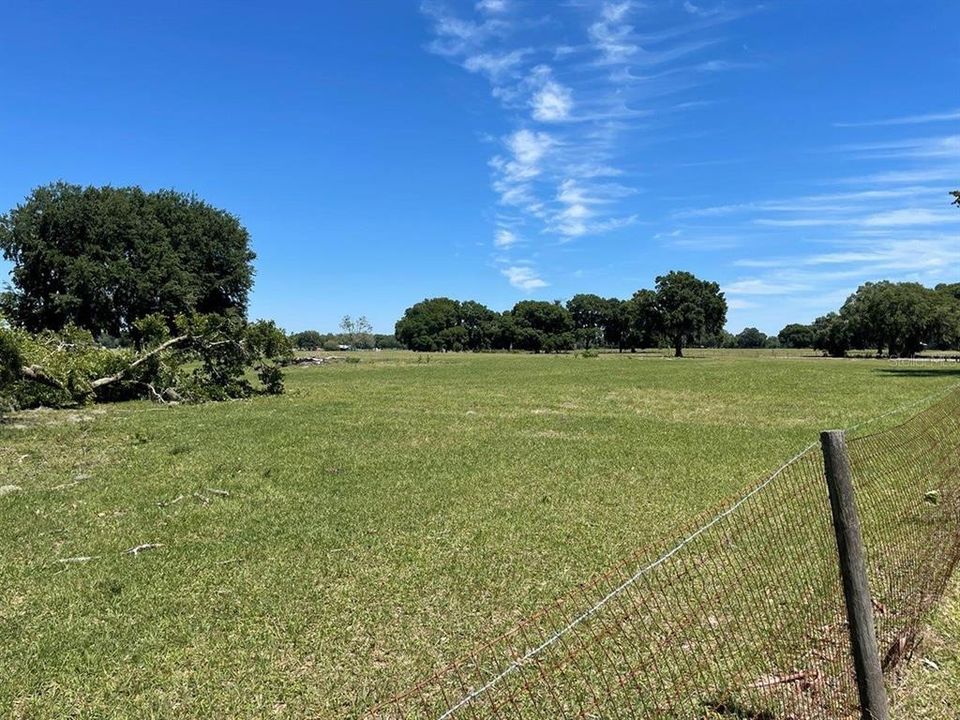 Active With Contract: $850,000 (31.00 acres)