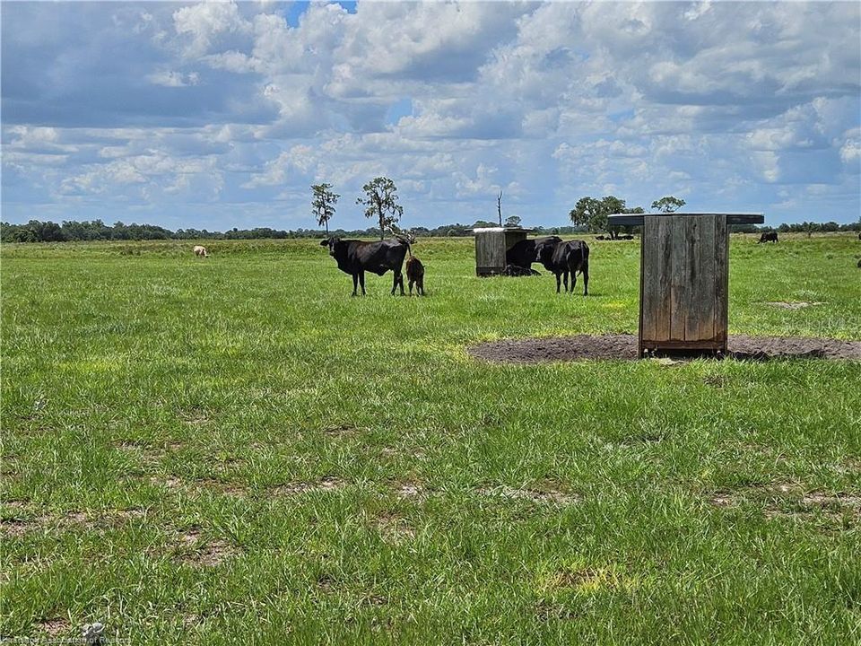 На продажу: $300,000 (18.00 acres)