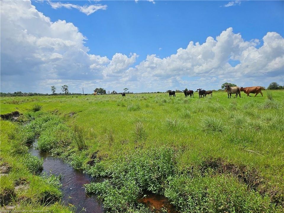 На продажу: $300,000 (18.00 acres)