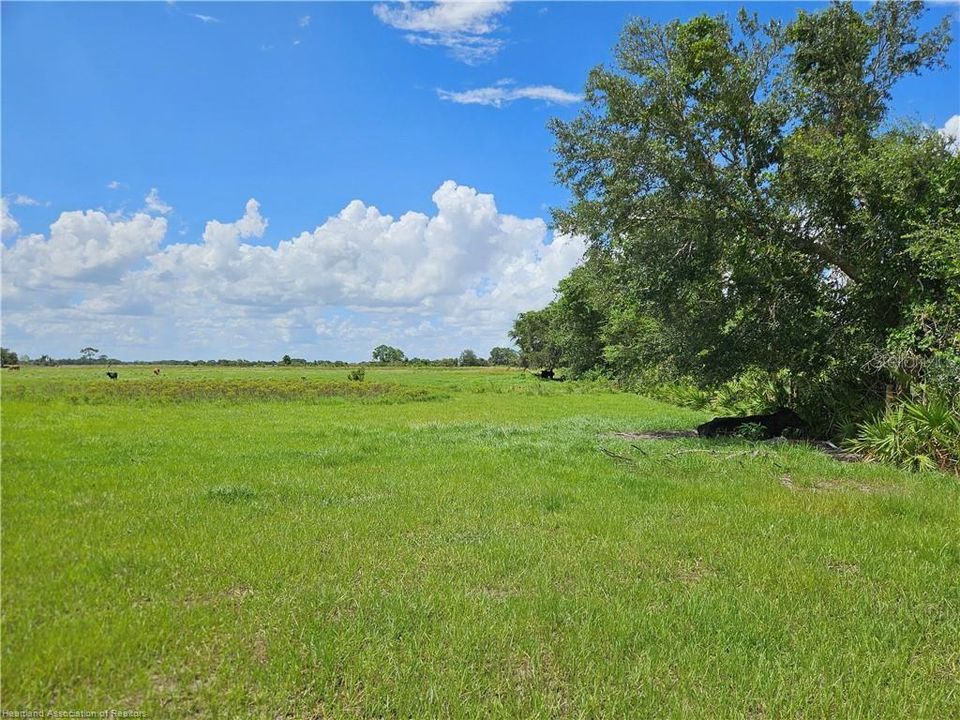 На продажу: $300,000 (18.00 acres)