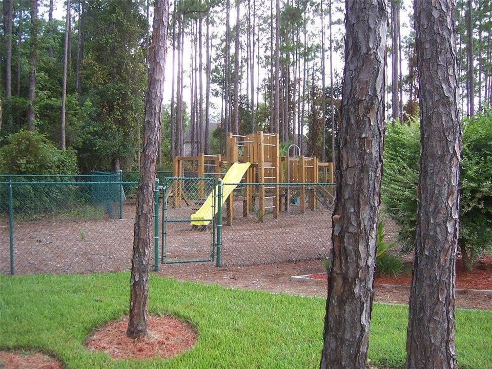 Hunters Ridge playground