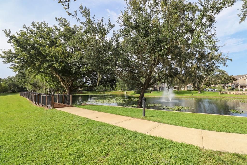 The beautiful tranquil pond with a walking path.