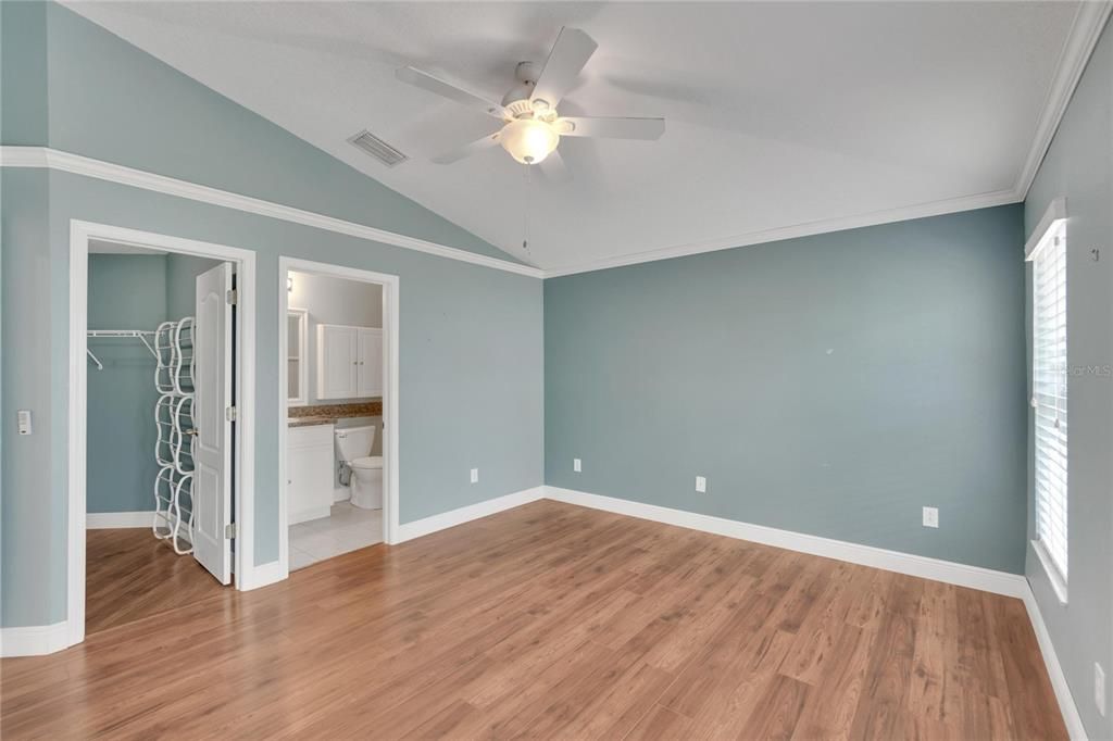 Spacious Walk-In Closet on the left