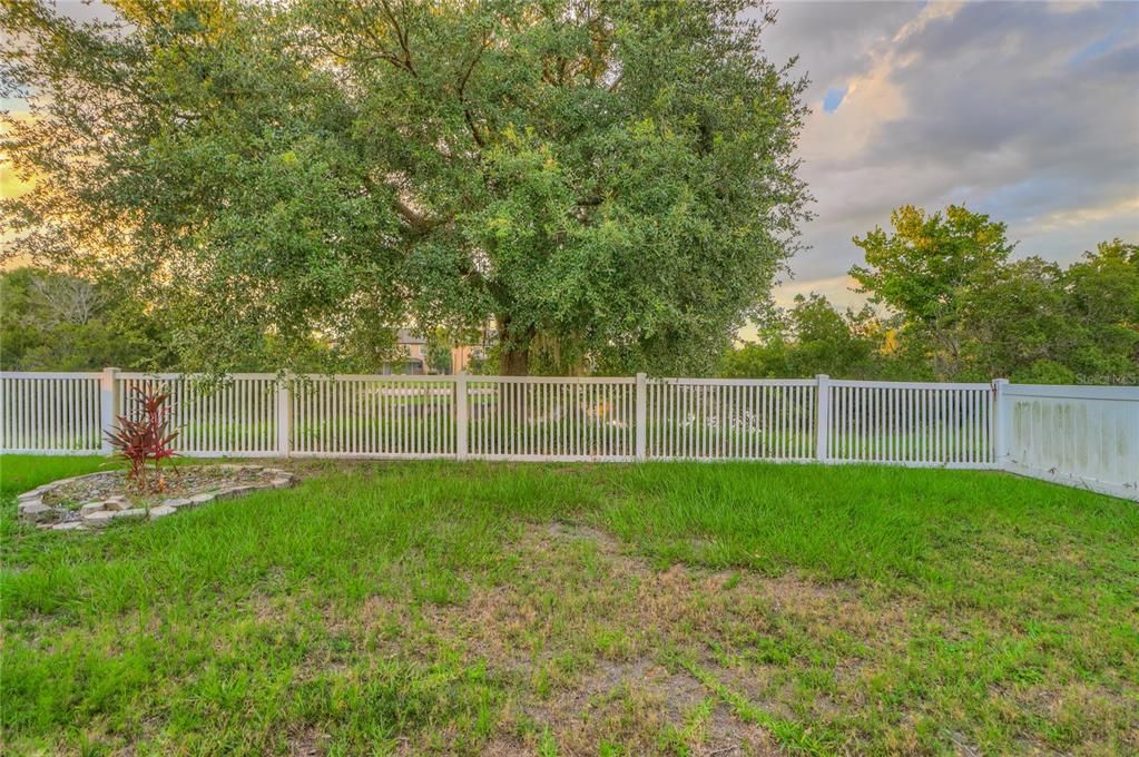 fenced backyard