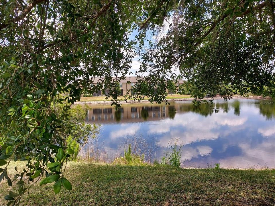 pond view