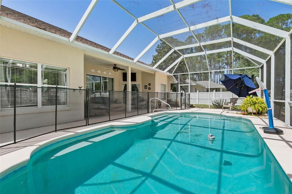 Screened in lanai and pool with removable child safety barriers.