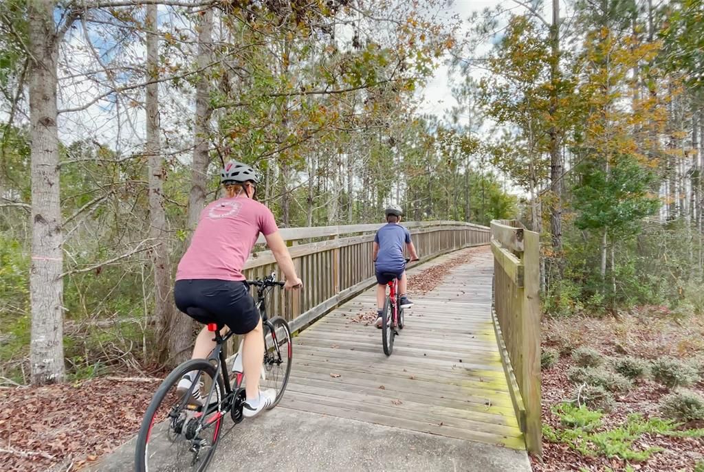 Beautiful Flagler Beach and Palm Coast. Miles of beaches and 100 plus mile of biking and walking trails. Still maintains the charm beauty of old Florida.