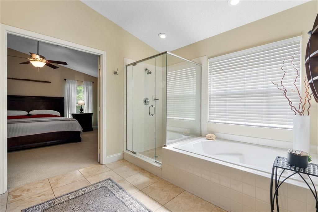 Separate shower and soaking bathtub with lots of natural light