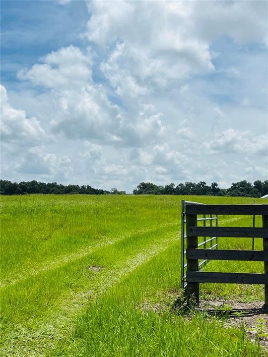 На продажу: $525,000 (12.45 acres)