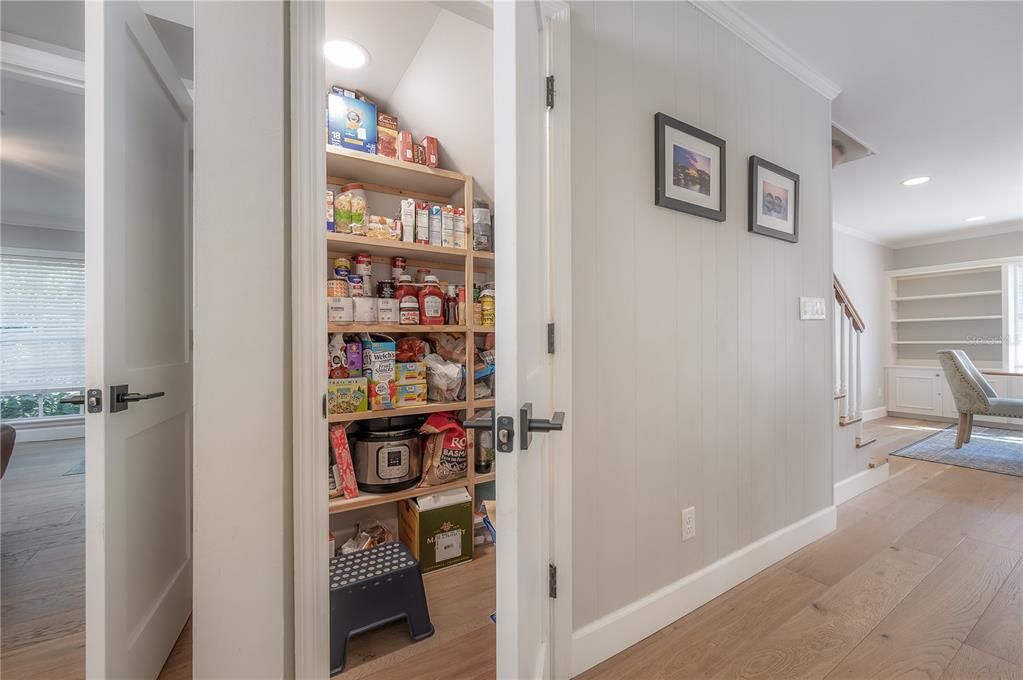 Pantry under stair storage