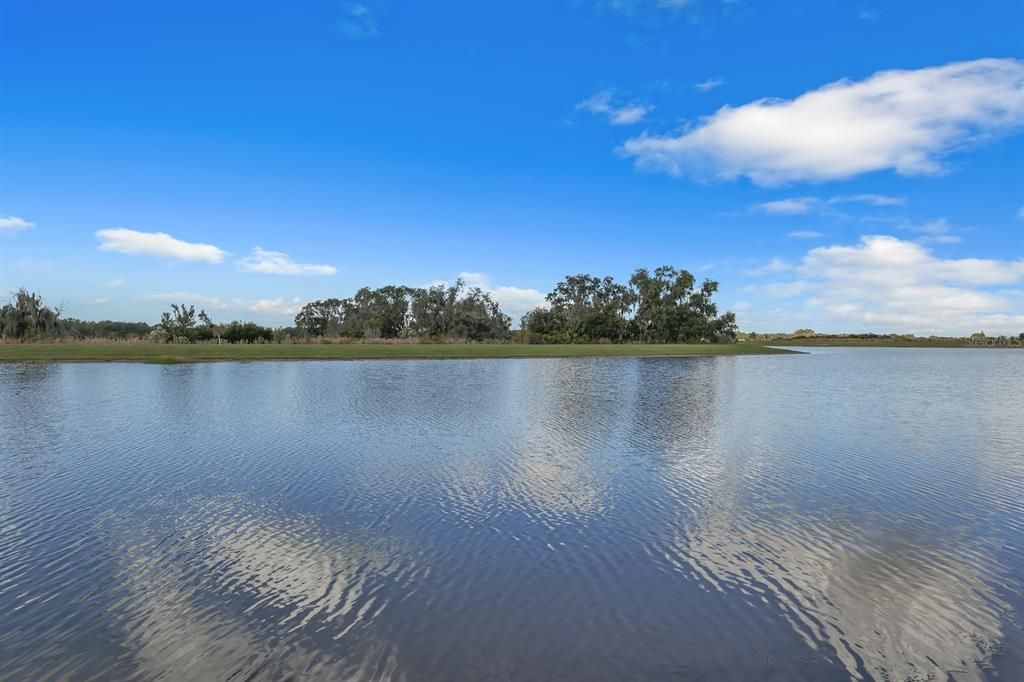 Lake and preserve views at Monterey at Lakewood Ranch