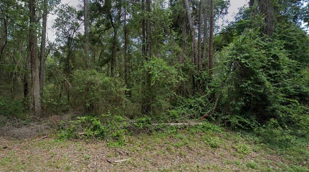 Activo con contrato: $12,500 (0.32 acres)