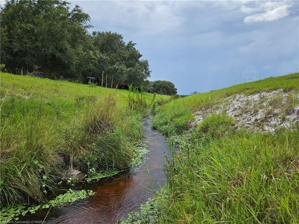 На продажу: $300,000 (17.94 acres)