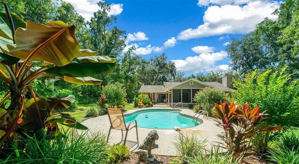 POOL VIEW