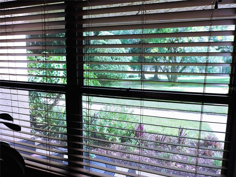 View from the ground floor family room