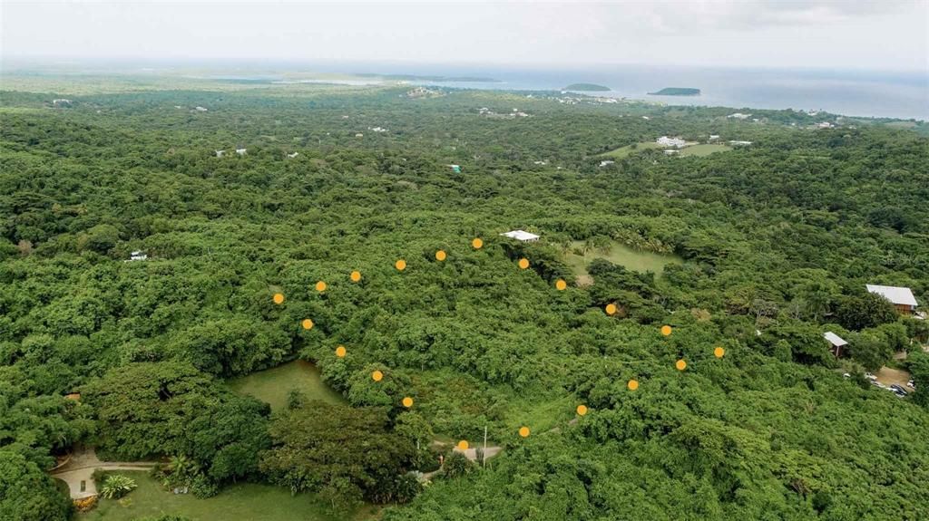 На продажу: $469,000 (4.90 acres)