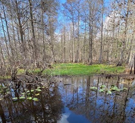 На продажу: $89,000 (2.51 acres)