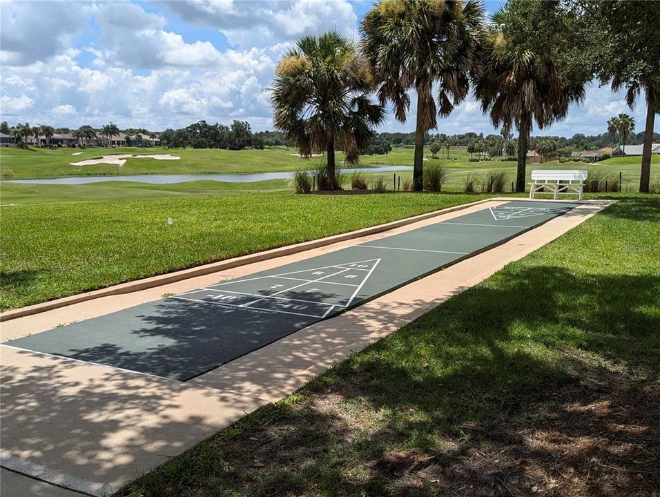 Shuffleboard court - one of many