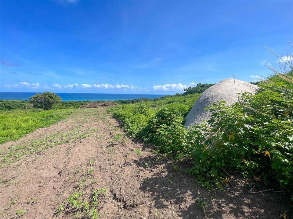 На продажу: $385,000 (2.01 acres)