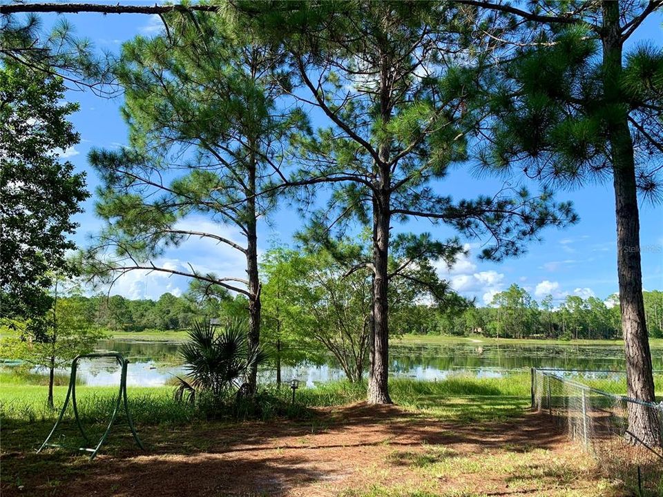 Lake Marion frontage