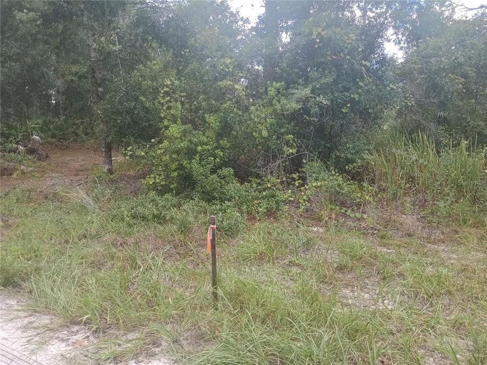 Mid road marker for Fawn Circle off Sunrise Blvd