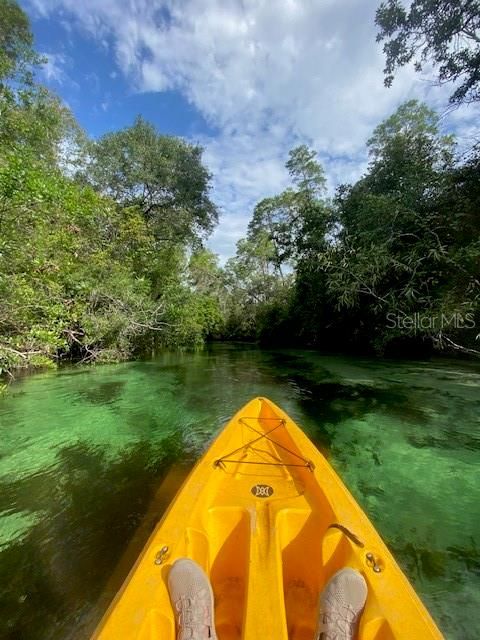 Weeki Wachee kayaking