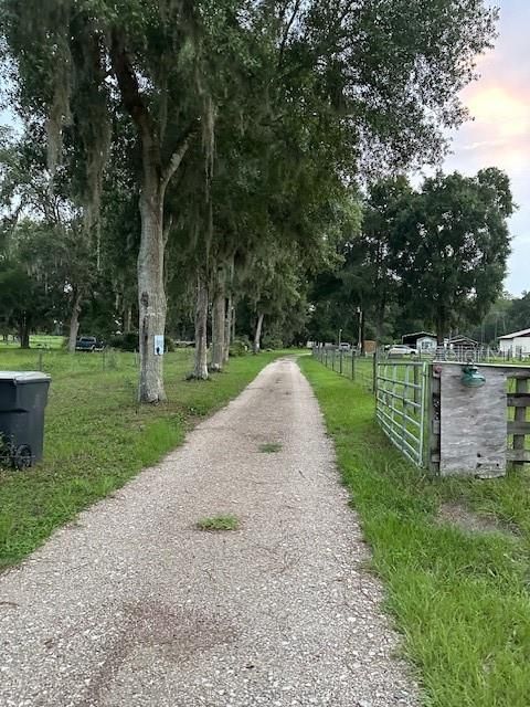 Driveway to back of property