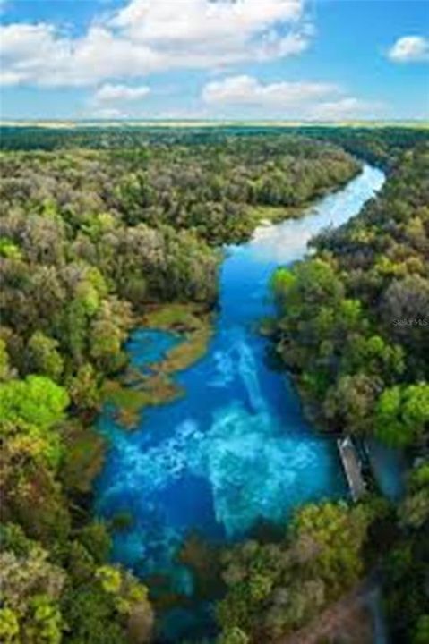 Rainbow River & Springs 5 minutes away