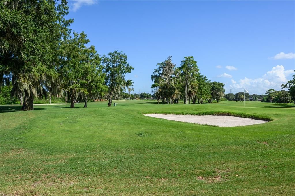 Wedgefield Golf Course view 2