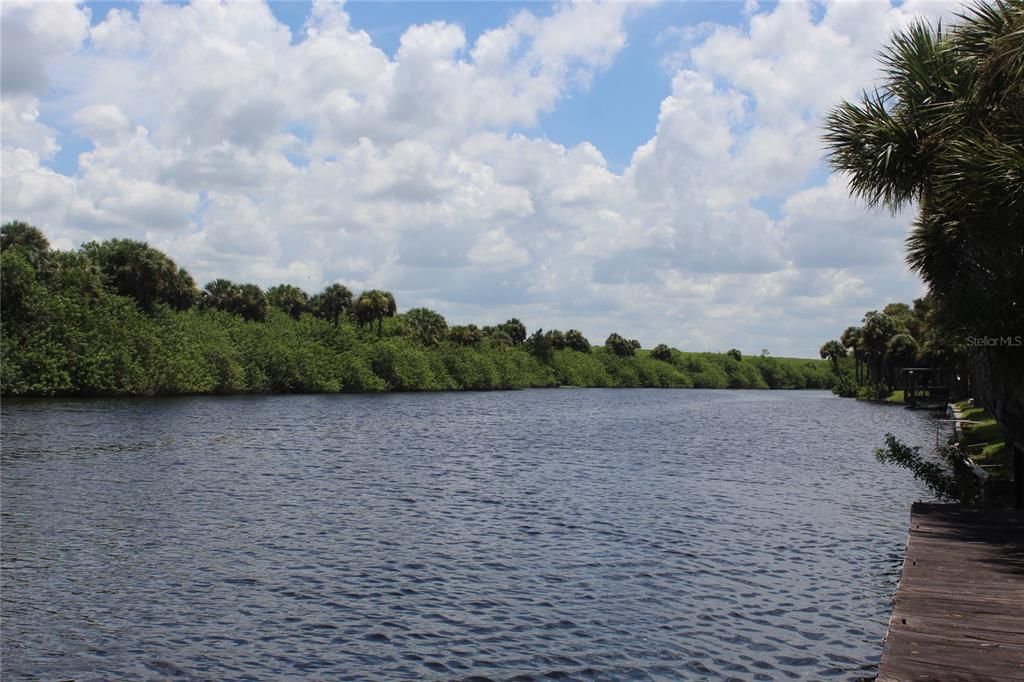 View of Bank from Neighbors Dock