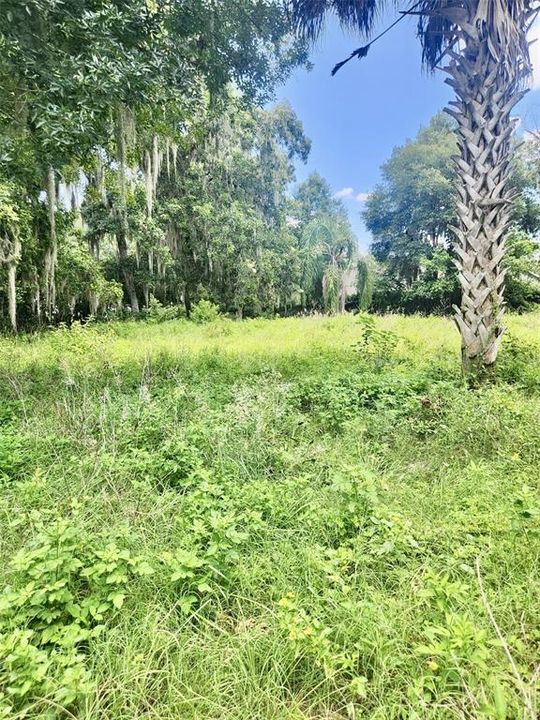 Recently Sold: $47,900 (0.49 acres)