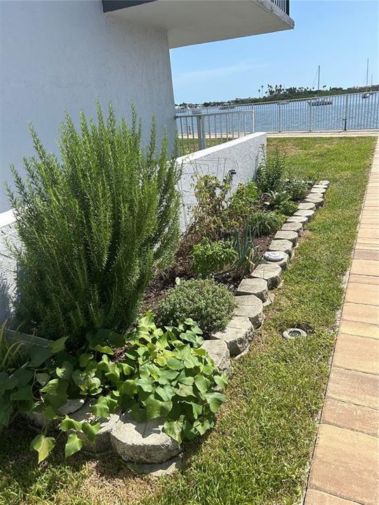 Community herb garden