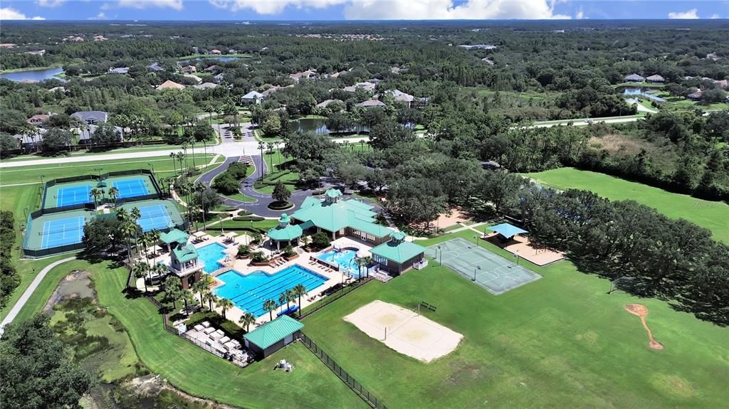 clubhouse bird view