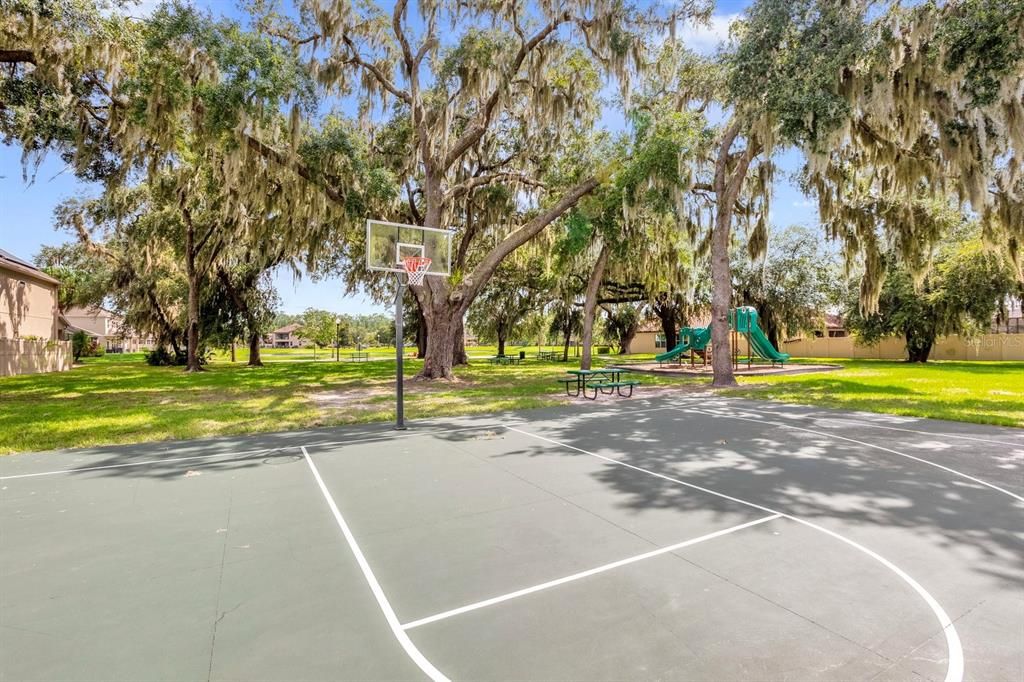 Community has it's own basketball court