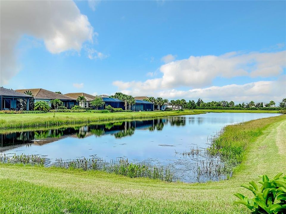 Pond Views