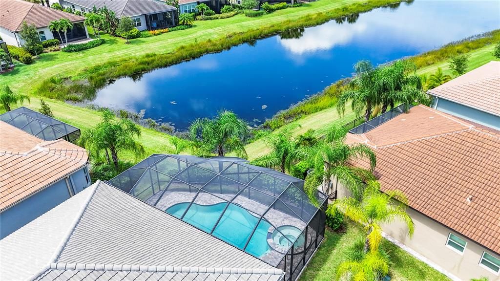 Aerial Pond Views