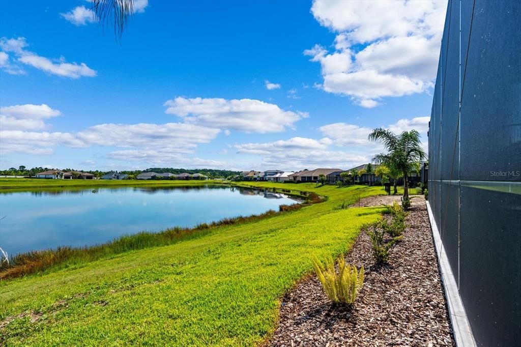 Pond View