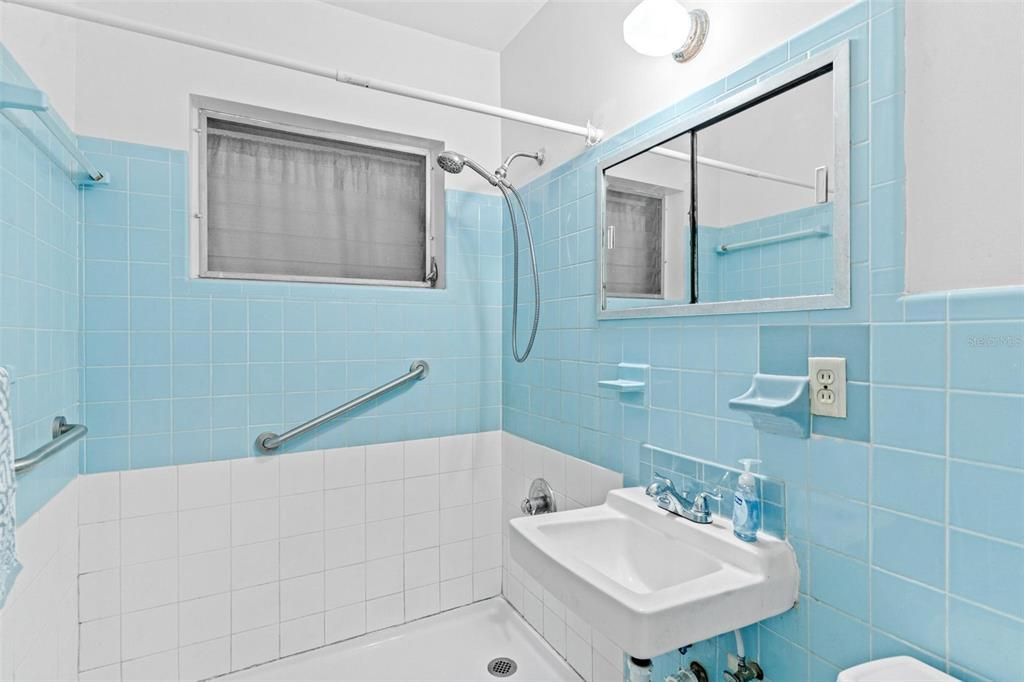 Guest Bathroom with Walk-in Shower