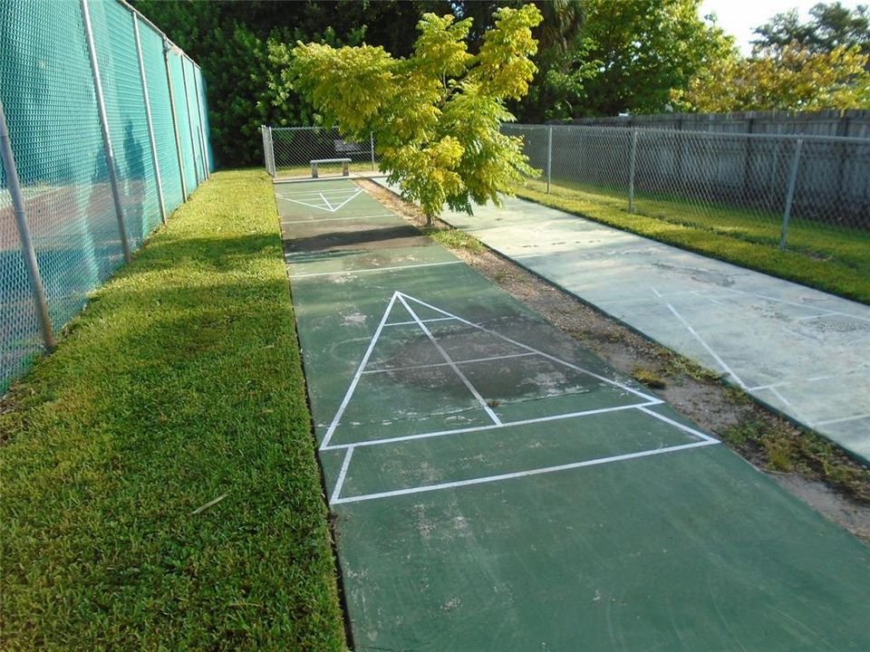 Shuffle Board Court