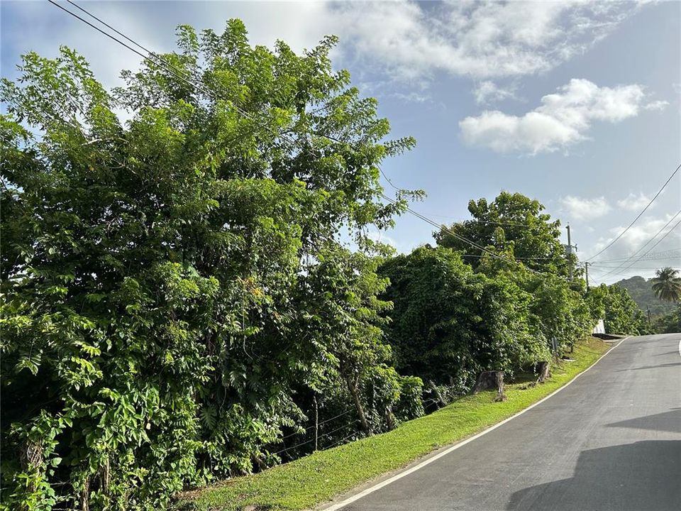 Недавно продано: $118,000 (3.43 acres)