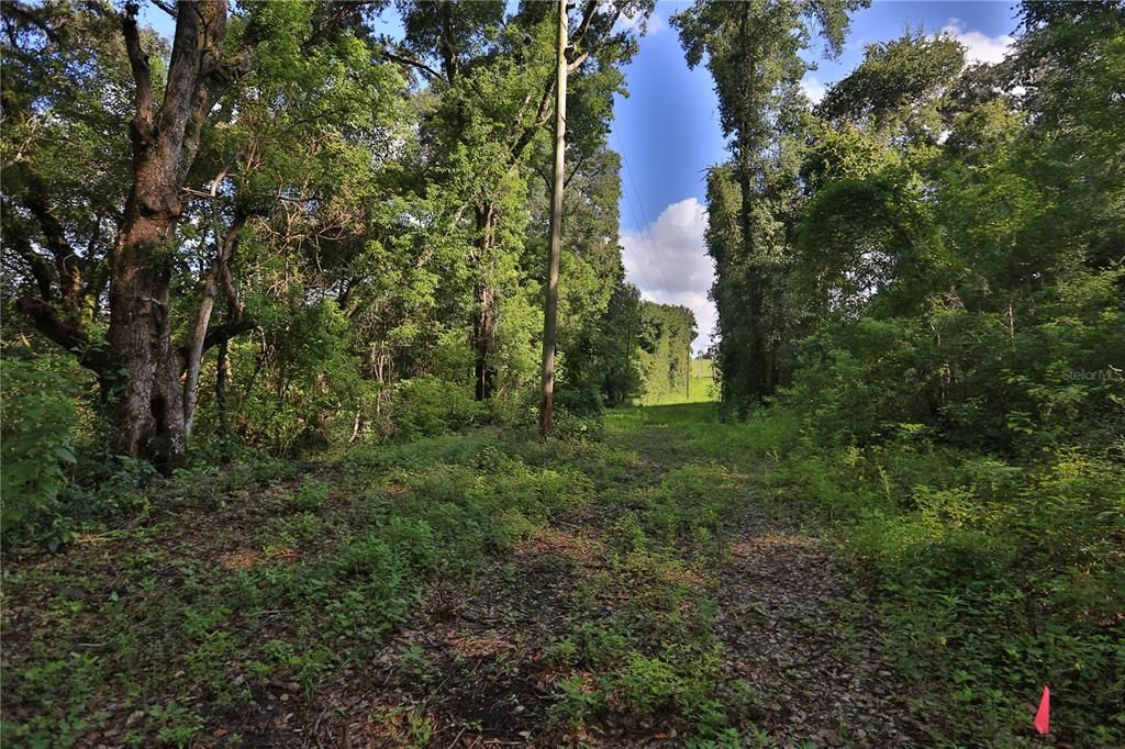 Back of property utility easement onto Highway 42