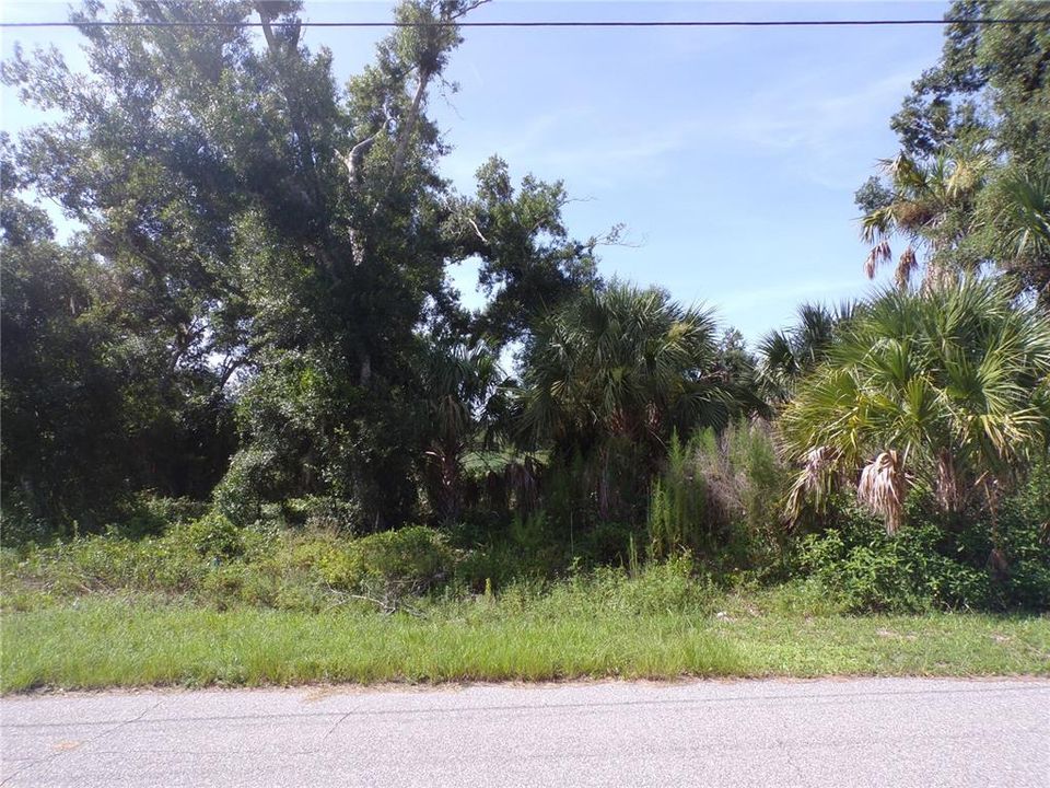 Active With Contract: $18,990 (0.24 acres)