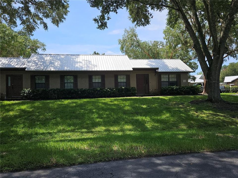 Large Ocala Oaks