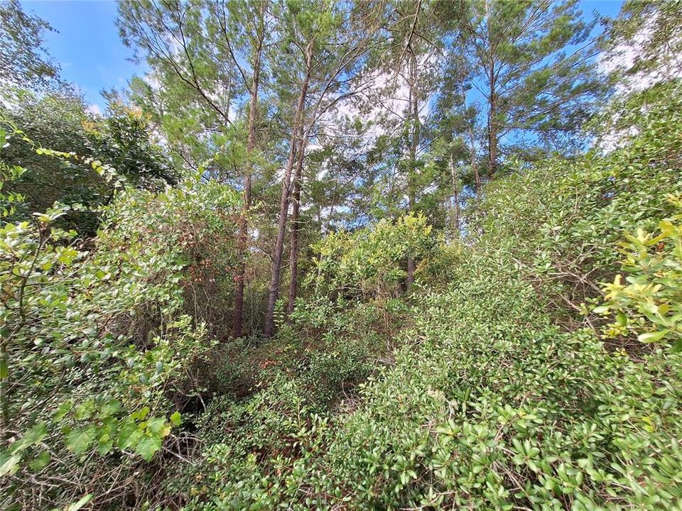 На продажу: $90,000 (0.87 acres)