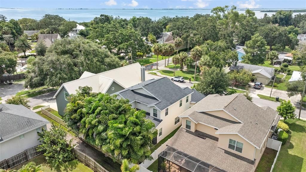 steps from downtown Safety Harbor & Tampa Bay waters